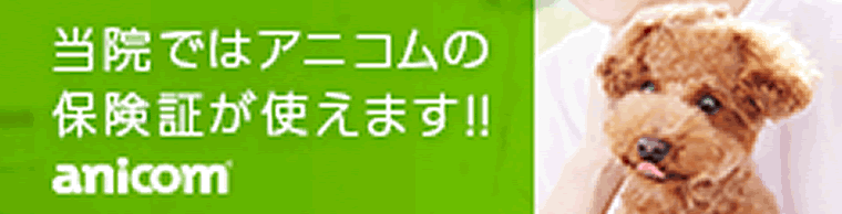 アニコム損害保険会社